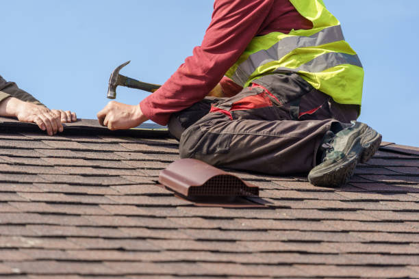 Best Roof Maintenance Services  in Le Center, MN